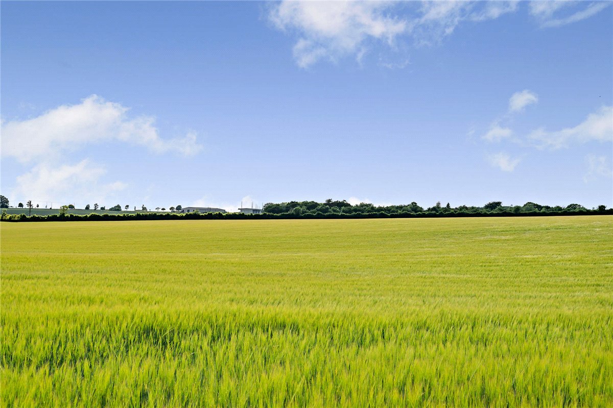 156.1 acres Land, Leckhampstead, Newbury RG20 - Sold STC