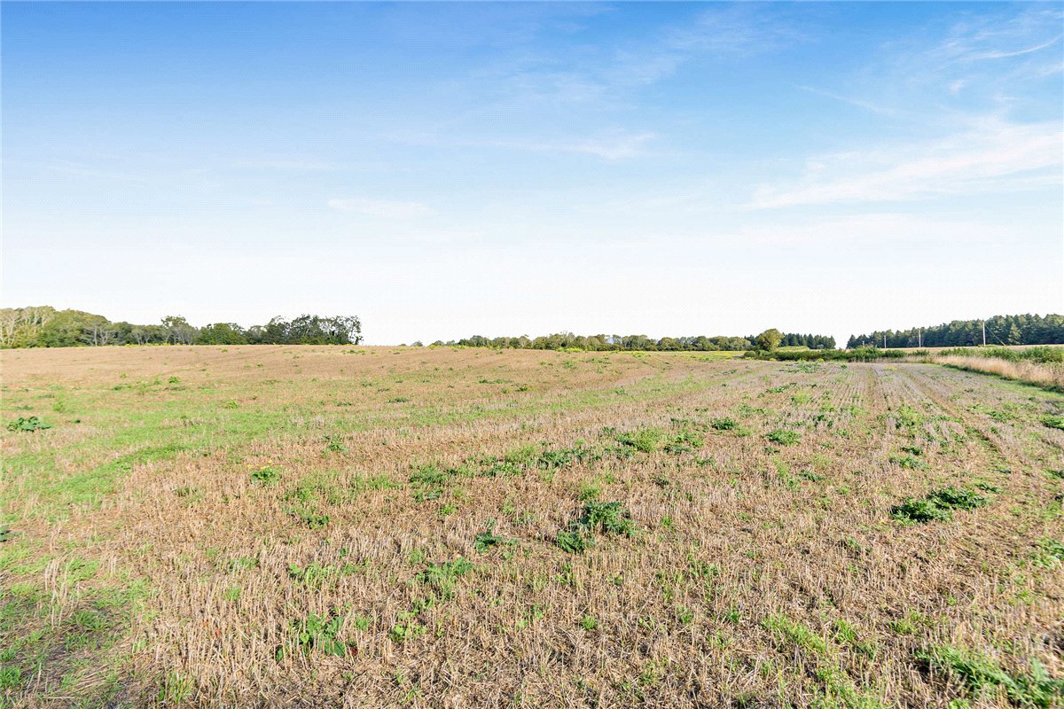 320.7 acres Land, Compton, Chichester PO18 - Available