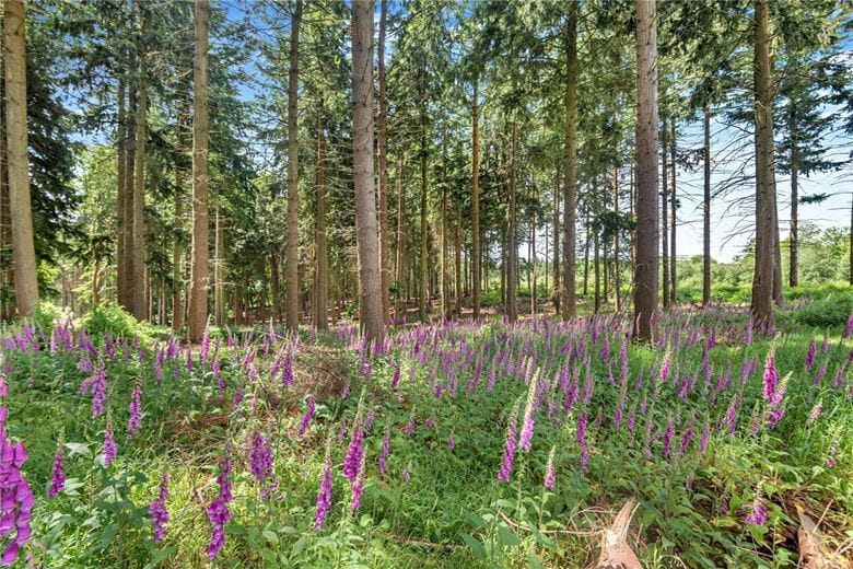 77.2 acres Land, Broad Lane, Upper Bucklebury RG7 - Available