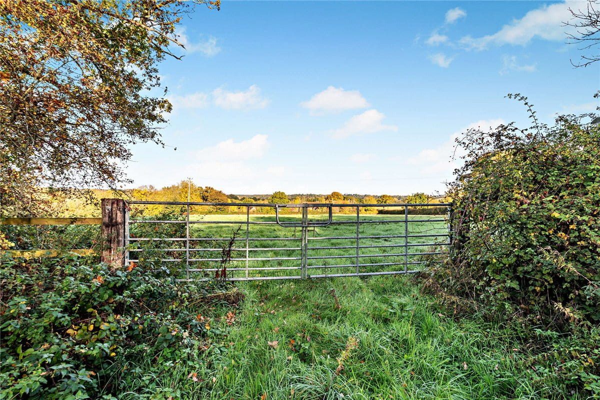 8.4 acres Land, Newbury, Berkshire RG14 - Available