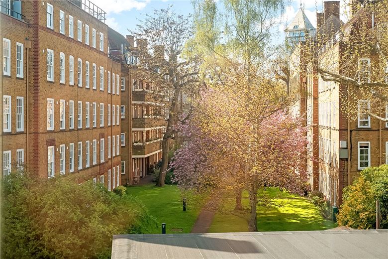 1 bedroom flat, Vicarage Crescent, London SW11 - Available