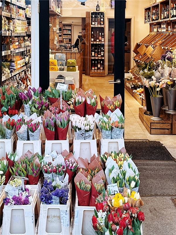 5 bedroom house, London Square Wandsworth Common, Springfield Drive SW17 - Available