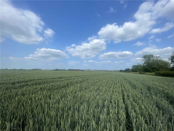  Land, Land At Beckingham, Gainsborough DN10 - Available