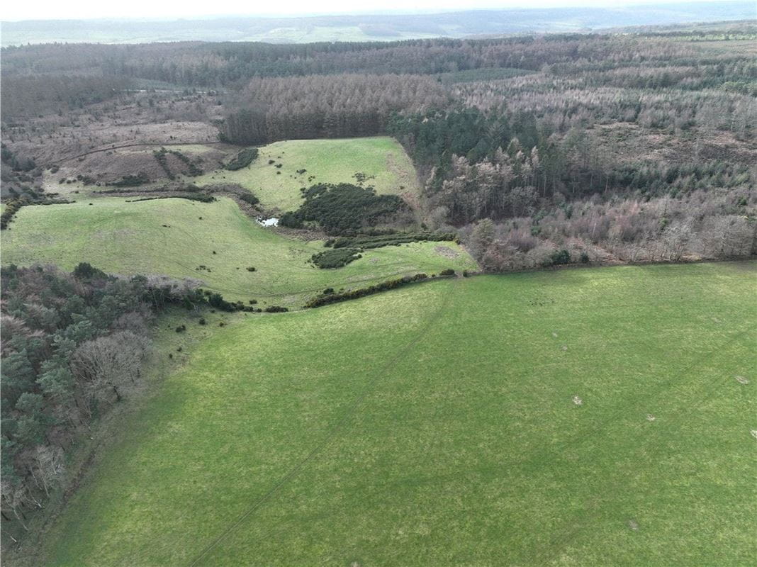  Land, Staintondale Road, Cloughton YO13 - Available
