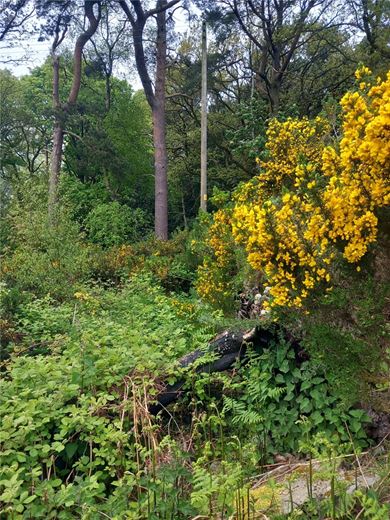  Land, Staintondale Road, Cloughton YO13 - Available