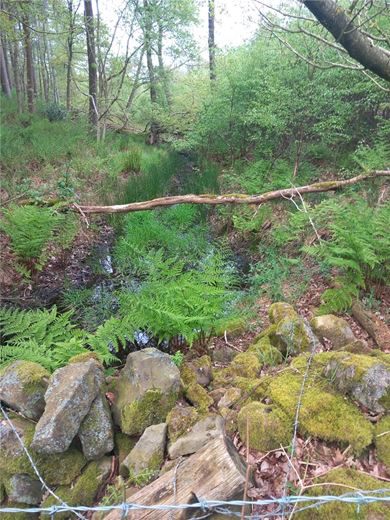  Land, Staintondale Road, Cloughton YO13 - Available