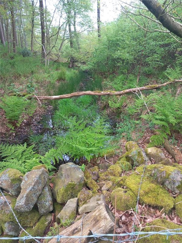  Land, Staintondale Road, Cloughton YO13 - Available