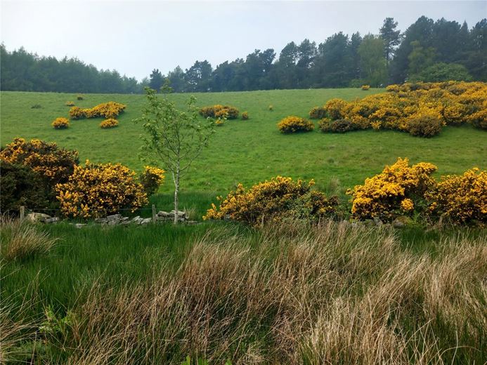  Land, Staintondale Road, Cloughton YO13 - Available