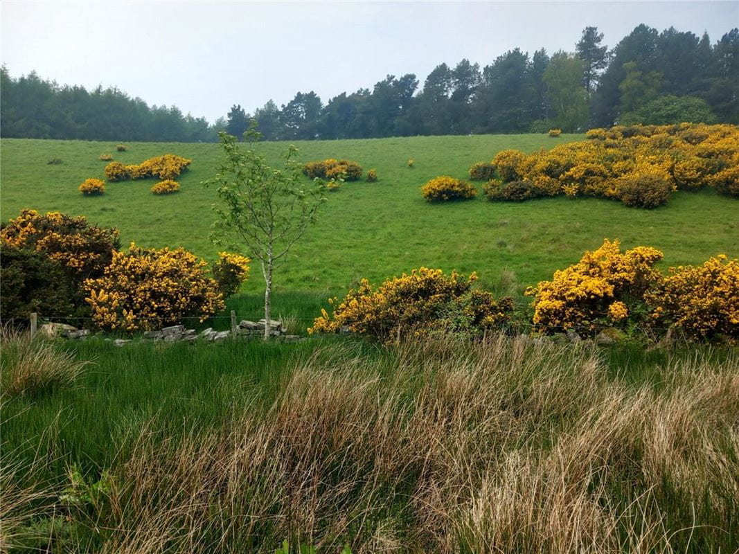  Land, Staintondale Road, Cloughton YO13 - Available