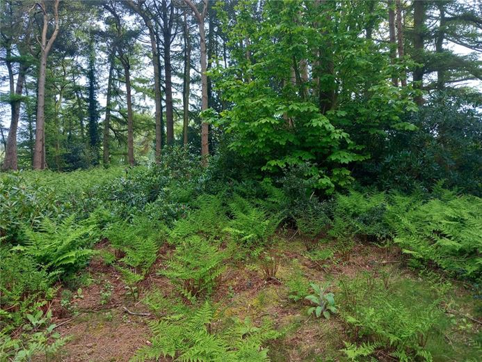  Land, Staintondale Road, Cloughton YO13 - Available