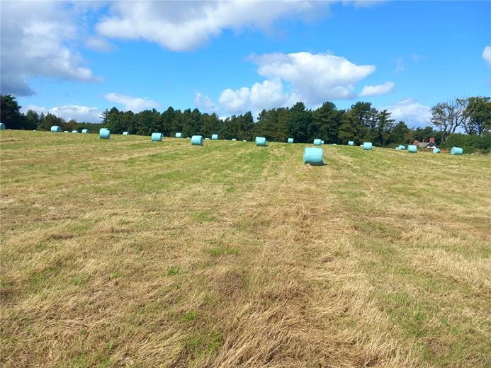  Land, Staintondale Road, Cloughton YO13 - Available