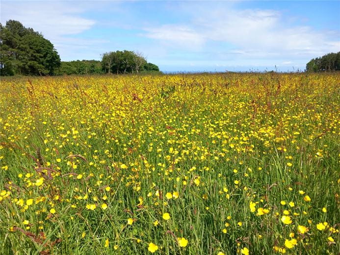  Land, Staintondale Road, Cloughton YO13 - Available