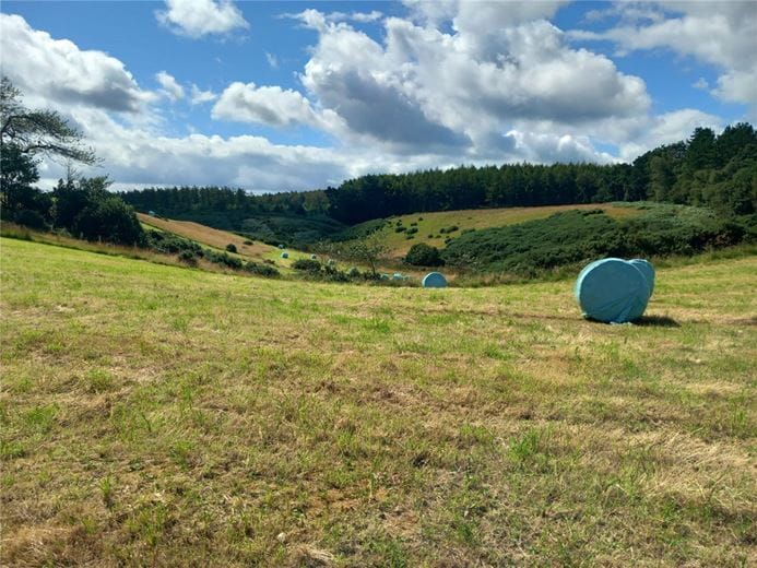  Land, Staintondale Road, Cloughton YO13 - Available