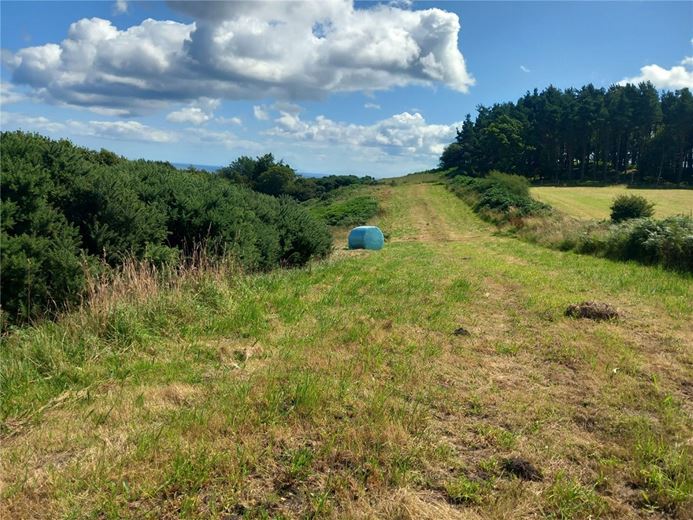  Land, Staintondale Road, Cloughton YO13 - Available