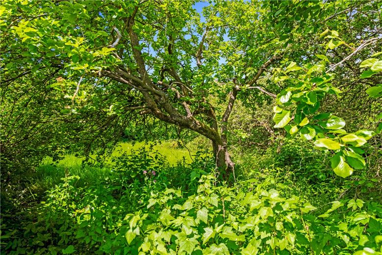 4 bedroom house, Main Street, Sutton on Derwent YO41 - Sold STC