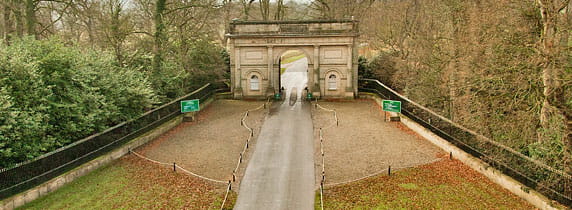 Harewood Estae